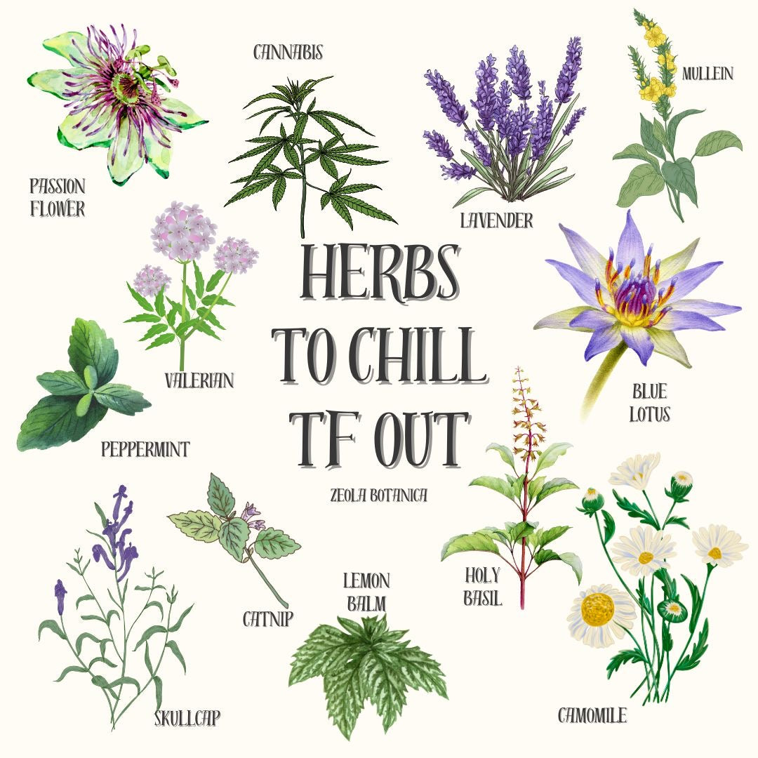 Herbs for Relaxation & Stress